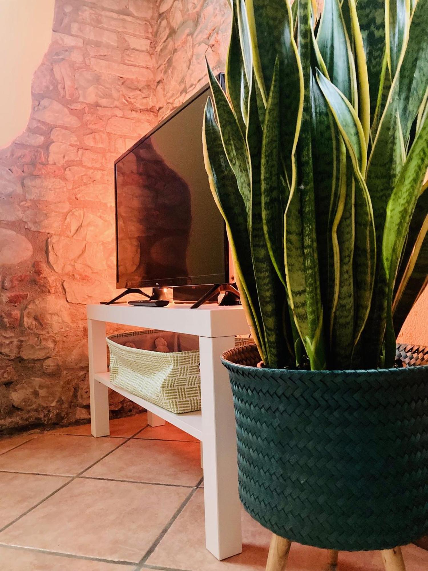 Residenza Borgo 9 Daire Collecchio Dış mekan fotoğraf