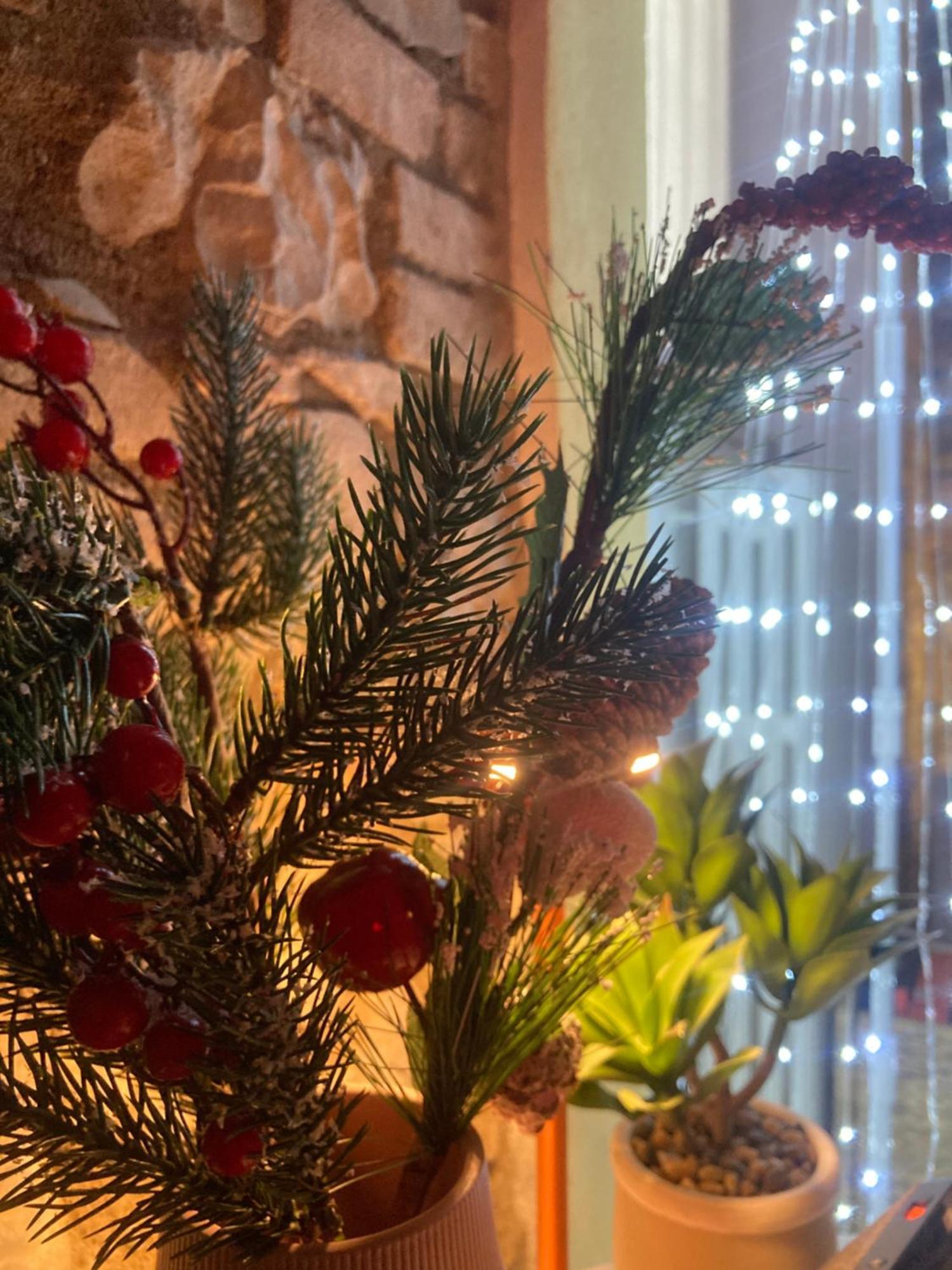 Residenza Borgo 9 Daire Collecchio Dış mekan fotoğraf