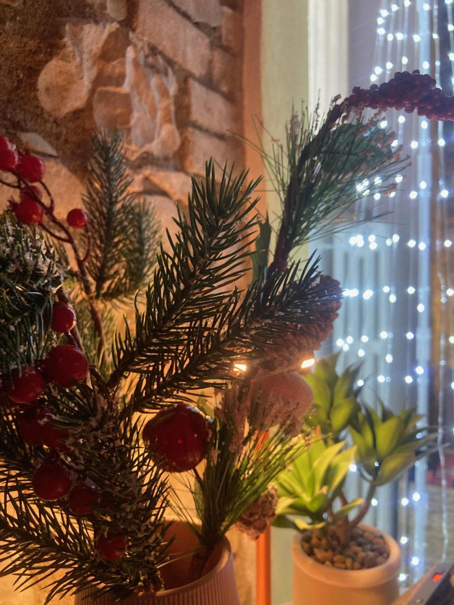 Residenza Borgo 9 Daire Collecchio Dış mekan fotoğraf
